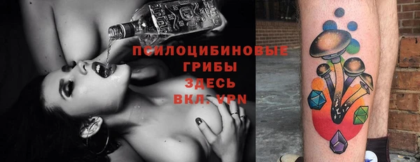 стаф Зерноград