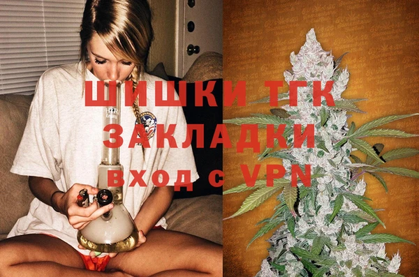 стаф Зерноград