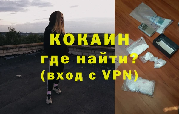 стаф Зерноград