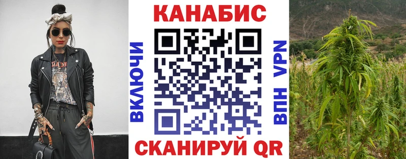 Купить закладки  Магадан  Каннабис семена 